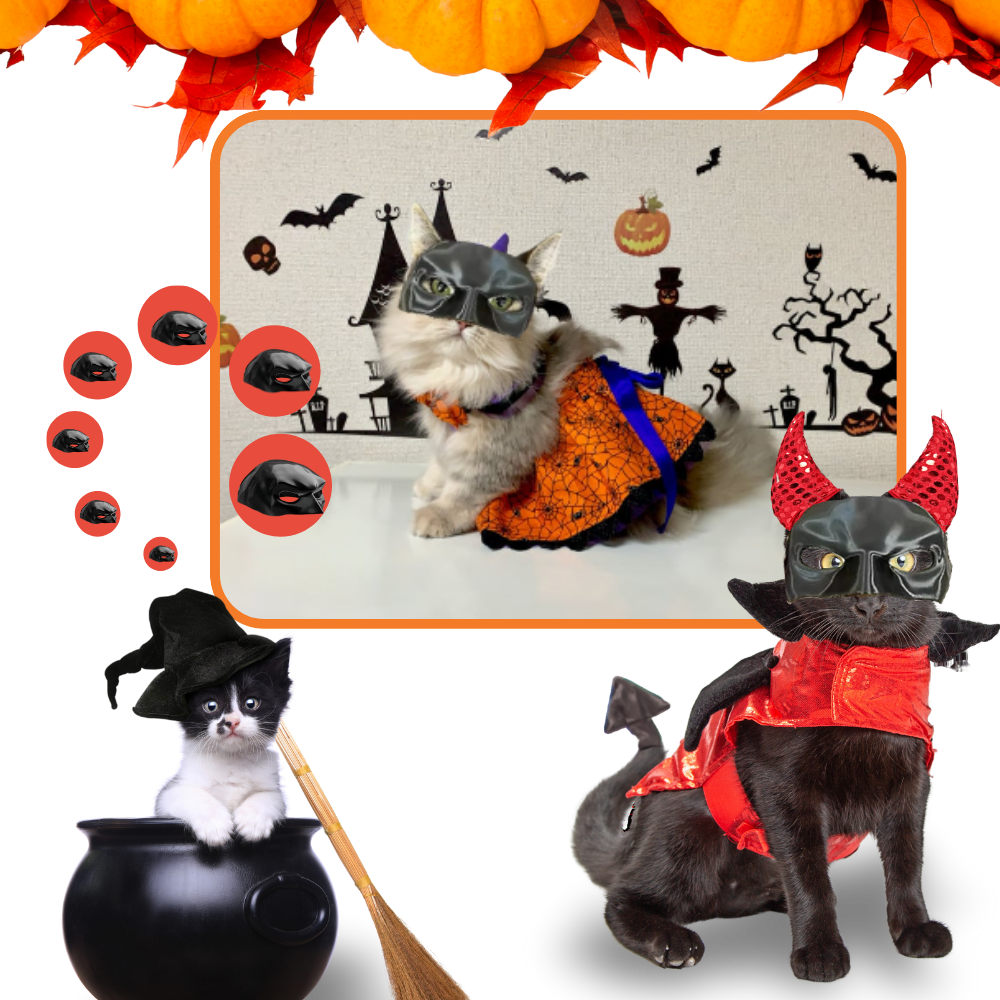 Máscara de Batman para gatos - Ozerty