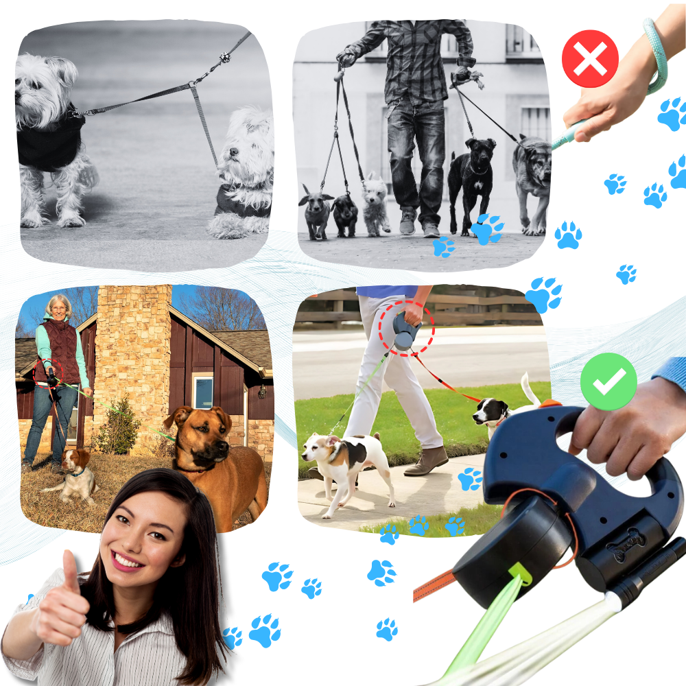 Correa retráctil anti enredos para perros - Ozerty