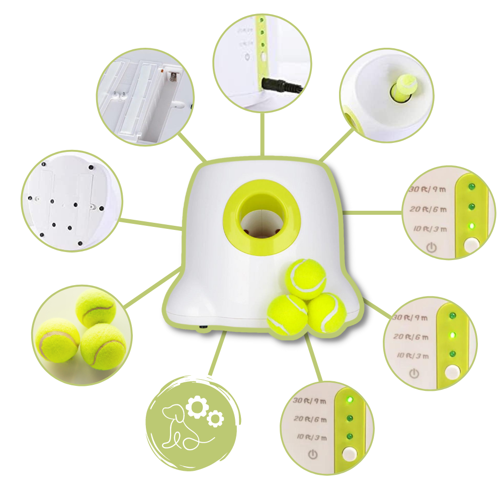 Lanzador automático de pelotas para perros
- Ozerty