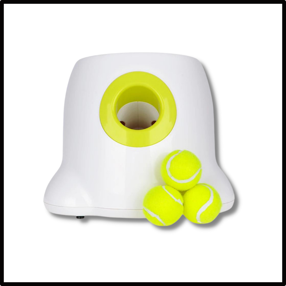 Lanzador automático de pelotas para perros
- Ozerty