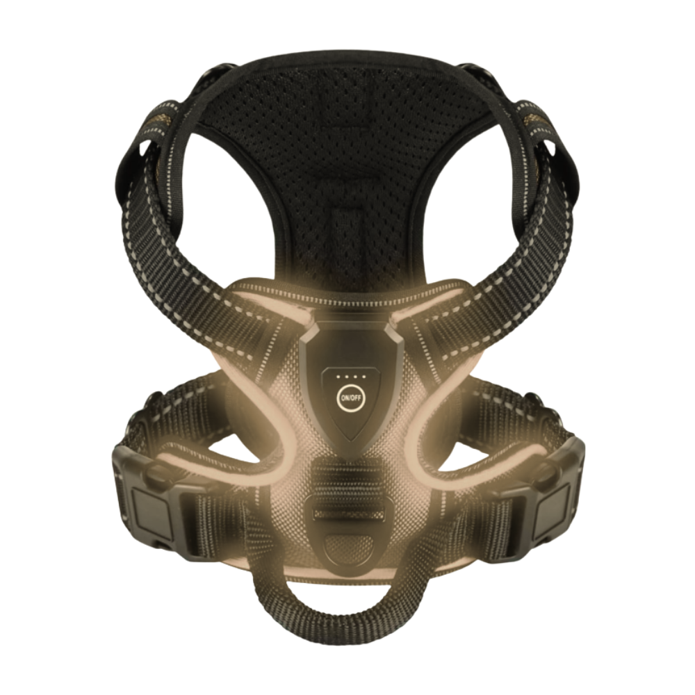 Arnés para perros con luz LED parpadeante -Negro - Ozerty