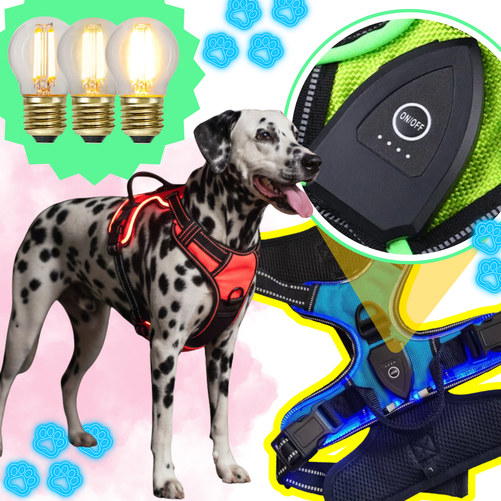 Arnés para perros con luz LED parpadeante - Ozerty