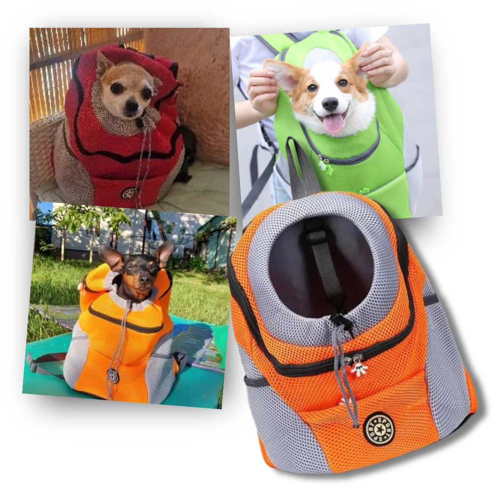 Mochila porta-perros transpirable - Ozerty