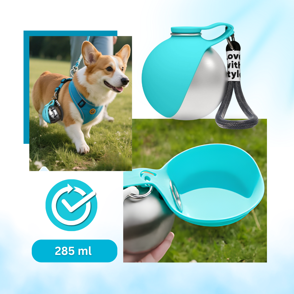 Práctica botella de agua para perros - Ozerty