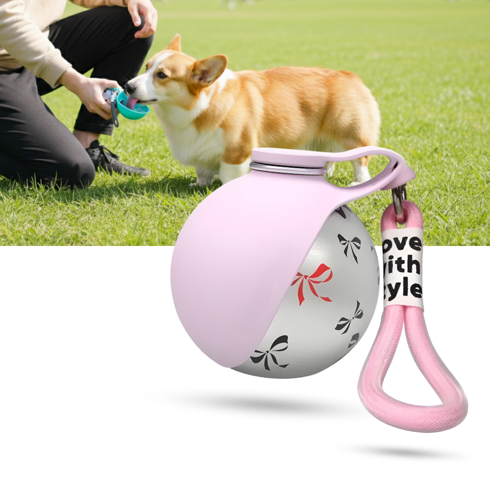 Práctica botella de agua para perros - Ozerty