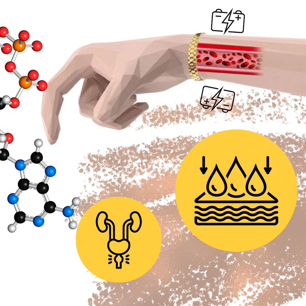 Pulsera de magnetoterapia de cobre - Ozerty