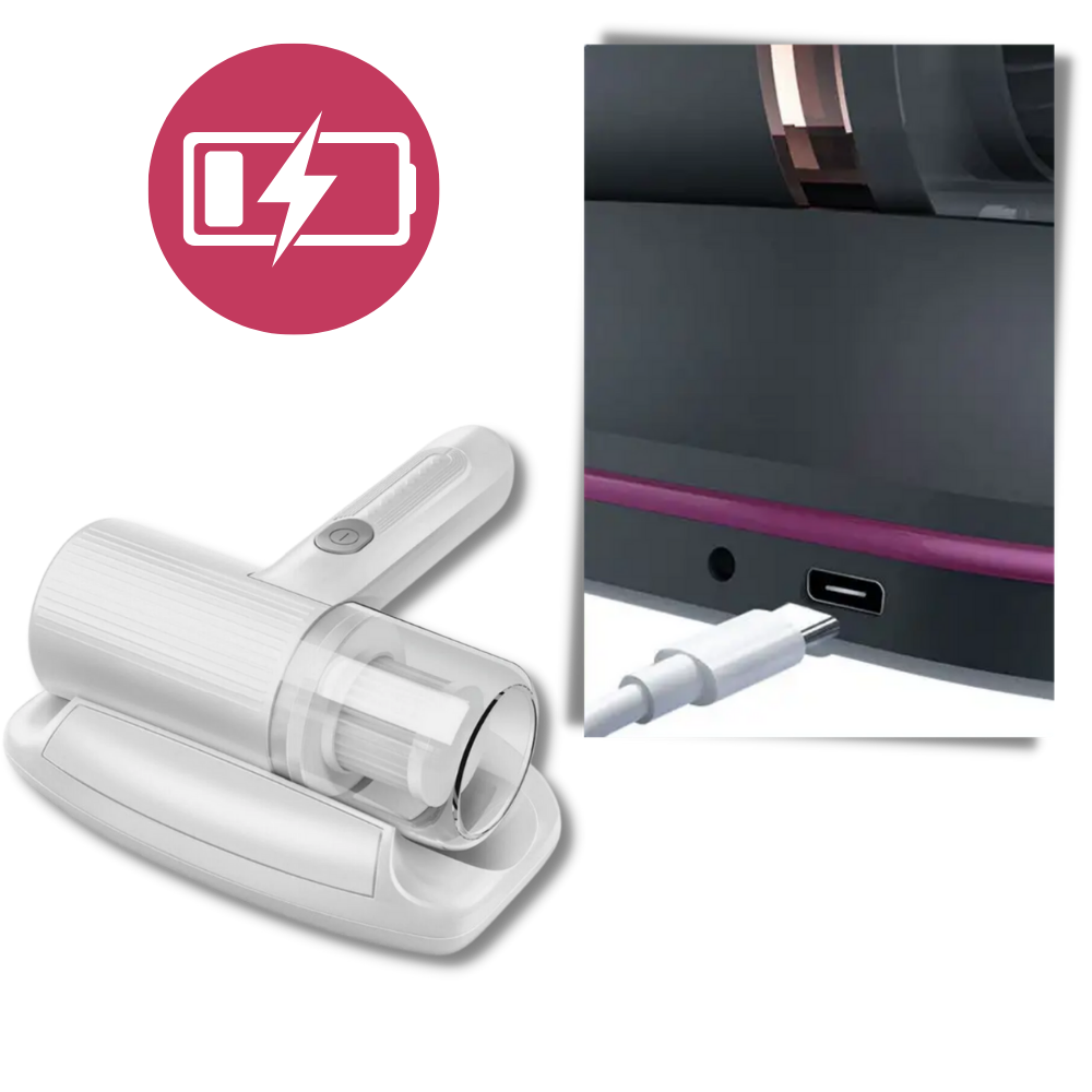 Aspiradora inalámbrica antiácaros
- Ozerty