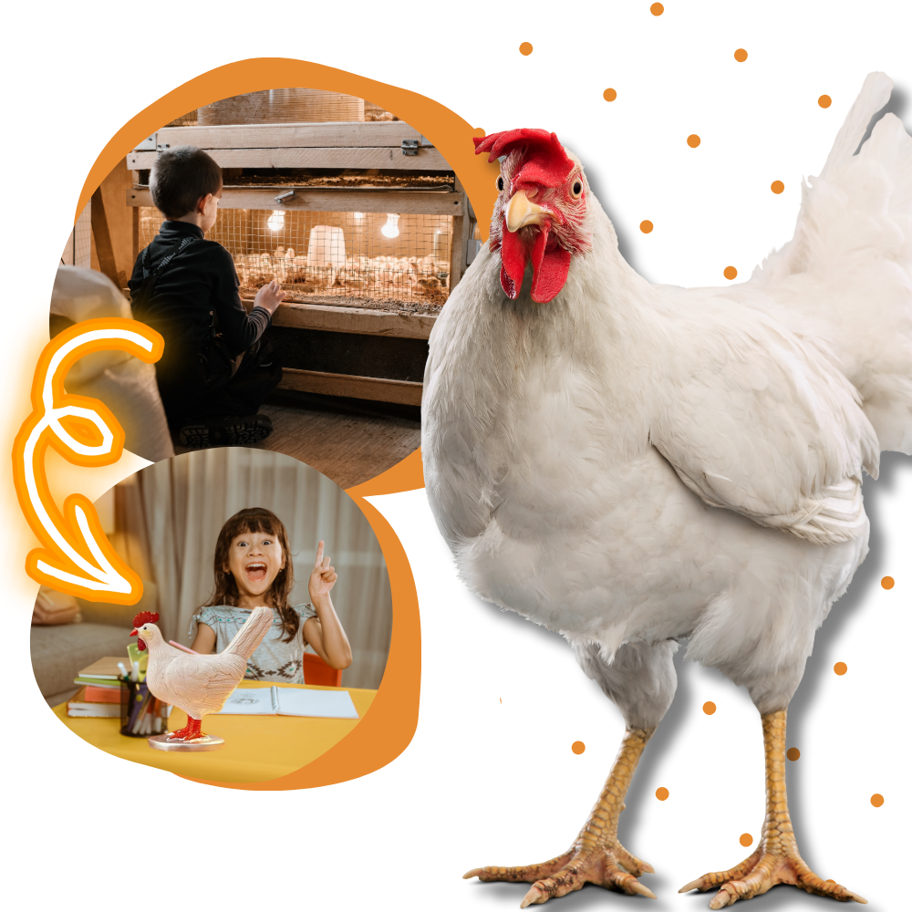 Lámpara huevo de gallina
- Ozerty