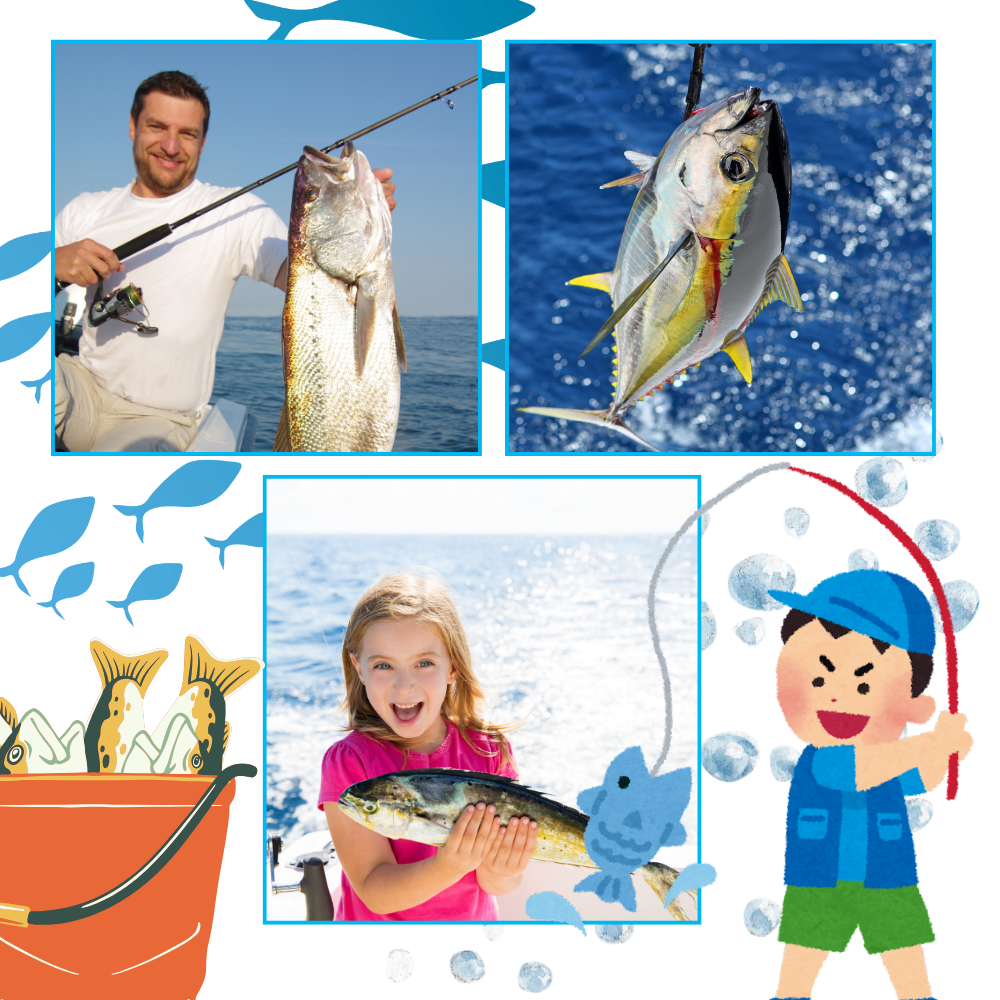 Calendario de Adviento de pesca
- Ozerty