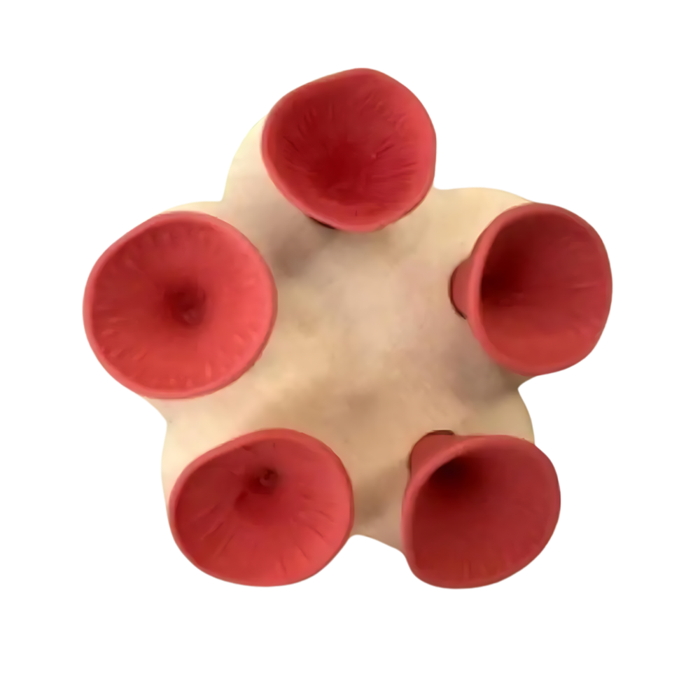 Copas polinizadoras para abejas -Rojo - Ozerty