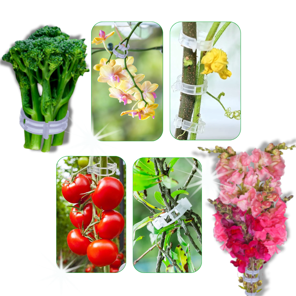 Enganches de apoyo para plantas
- Ozerty