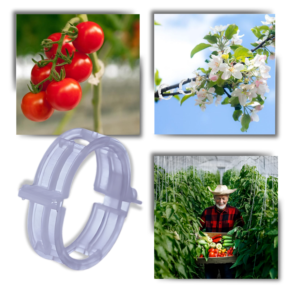 Enganches de apoyo para plantas
- Ozerty