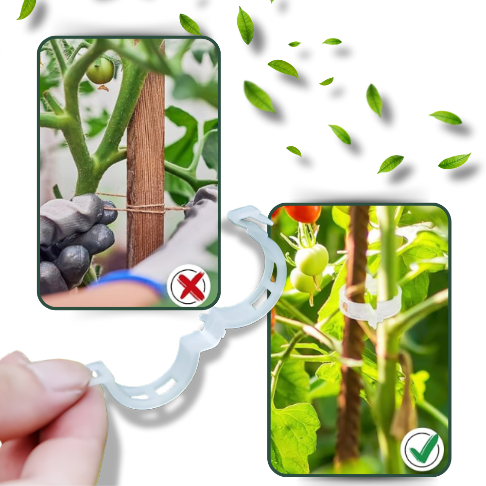 Enganches de apoyo para plantas
- Ozerty