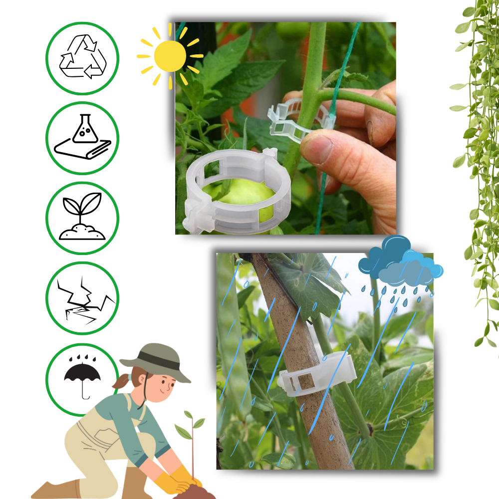 Enganches de apoyo para plantas
- Ozerty