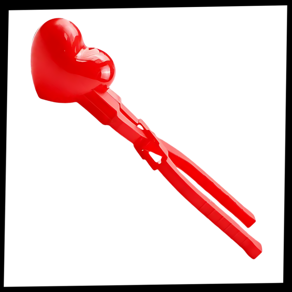 Molde de arroz para sushi - Ozerty