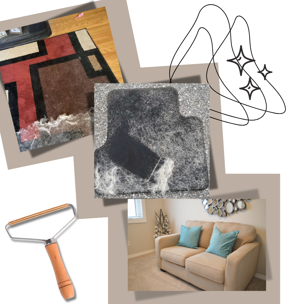 Cepillo limpiador de pelo de mascota - Ozerty