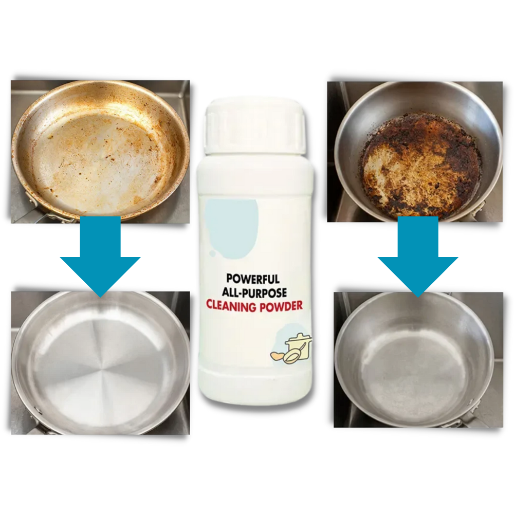 Polvo limpiador multiusos
- Ozerty