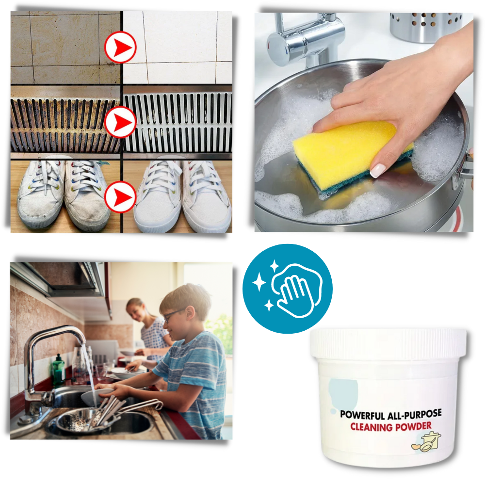 Polvo limpiador multiusos
- Ozerty