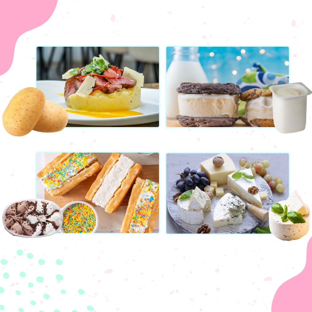 Molde de prensado para hacer helados redondos - Ozerty