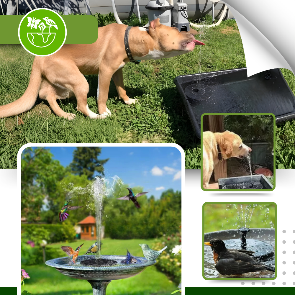 Fuente solar flotante Instant Charm Garden - Ozerty