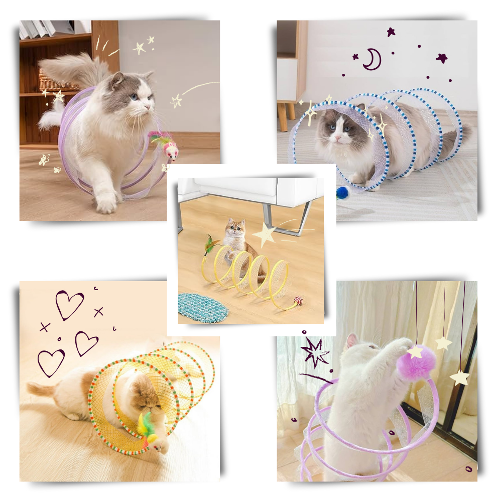 Túnel interactivo y compacto para gatos
- Ozerty