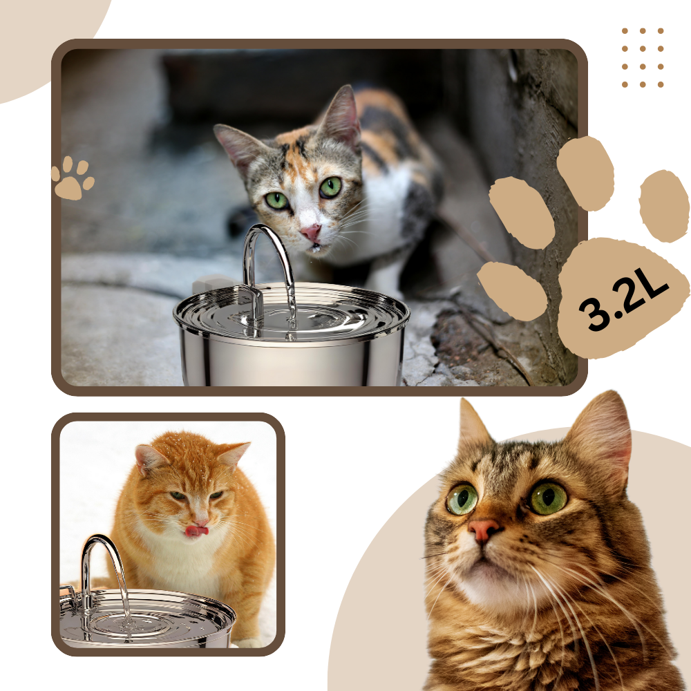 Bebedero para gatos de gran capacidad - Ozerty