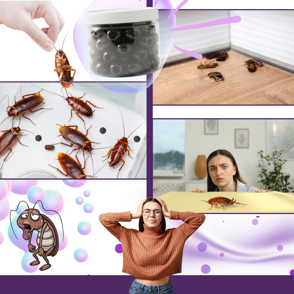Perlas repelentes de cucarachas con extracto de lavanda - Ozerty