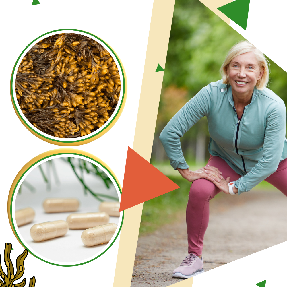 Suplemento a base de hierbas marinas - Ozerty