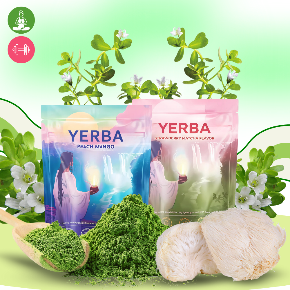 Té de yerba mate y matcha - Ozerty