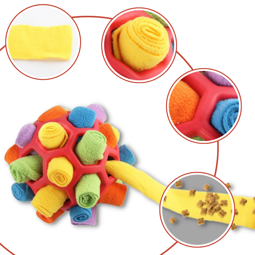 Pelota de olfateo con estimulación mental
- Ozerty