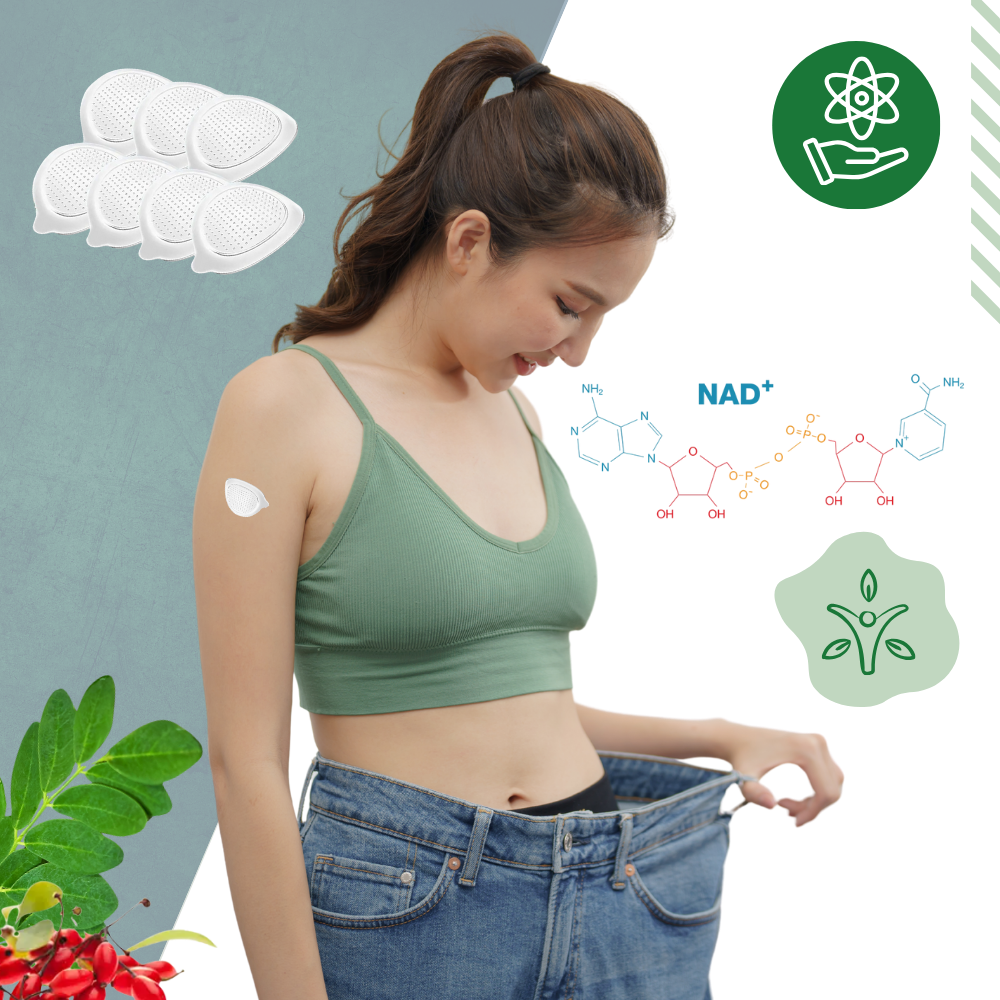 Parches de moringa con microagujas - Ozerty