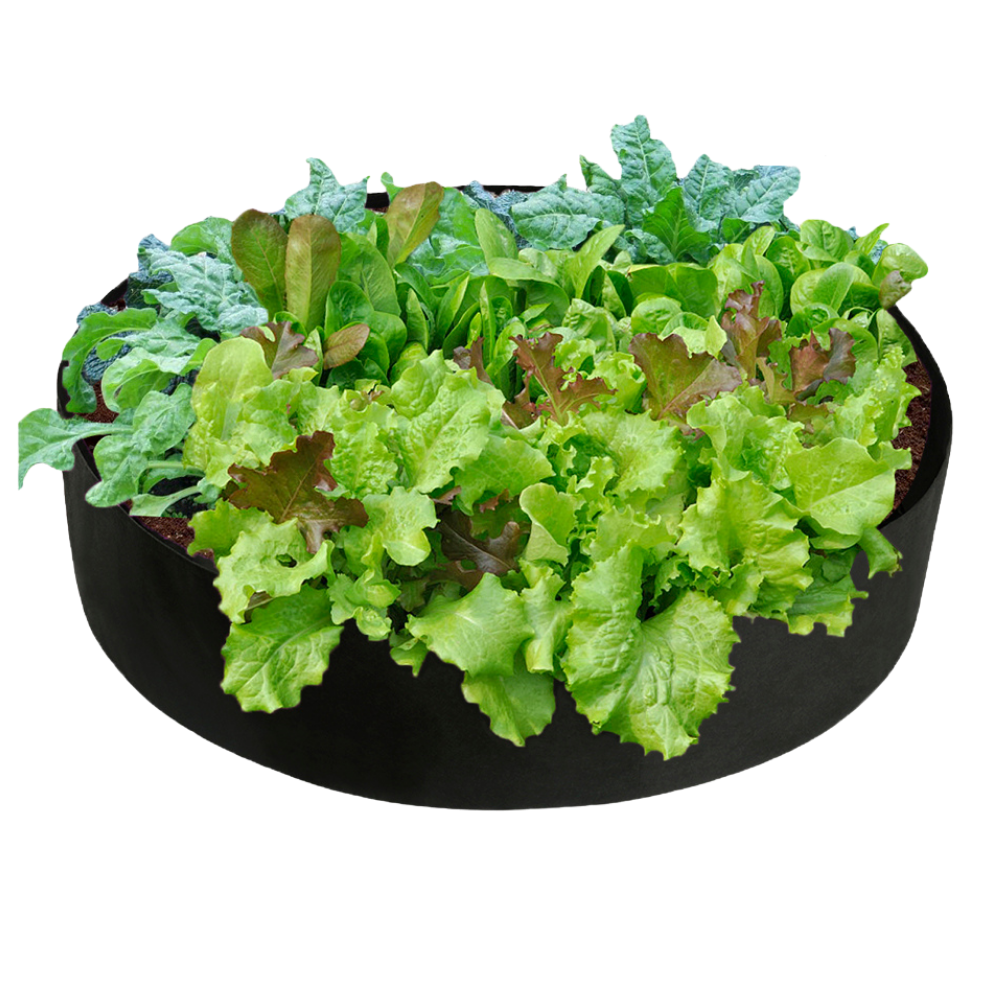 Bolsas de plantación transpirables
-60x20 cm70x30 cm80x30 cm90x30 cm127x30 cm - Ozerty