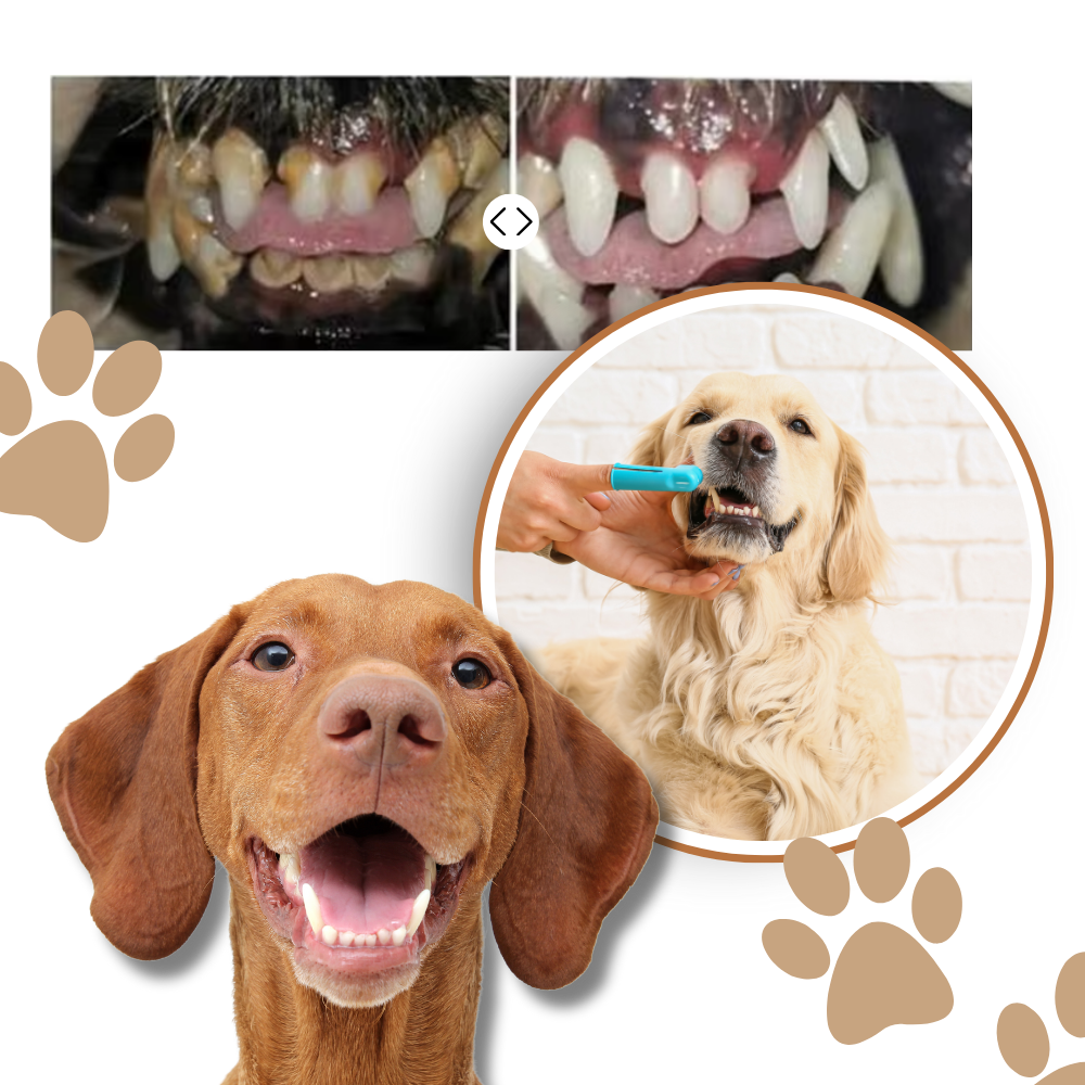 Gel reparador bucal para mascotas - Ozerty