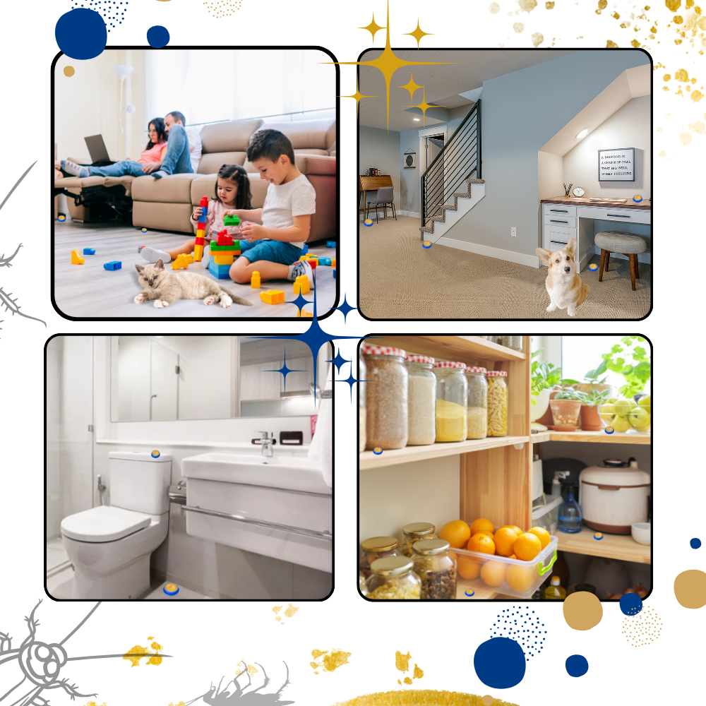 Trampas inodoras para cucarachas
- Ozerty