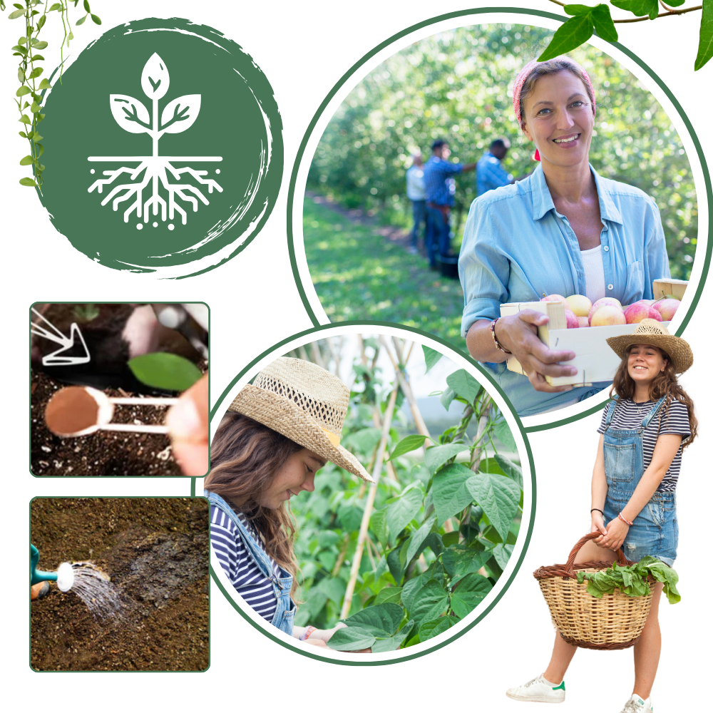 Activador de suelos a base de nutrientes orgánicos - Ozerty