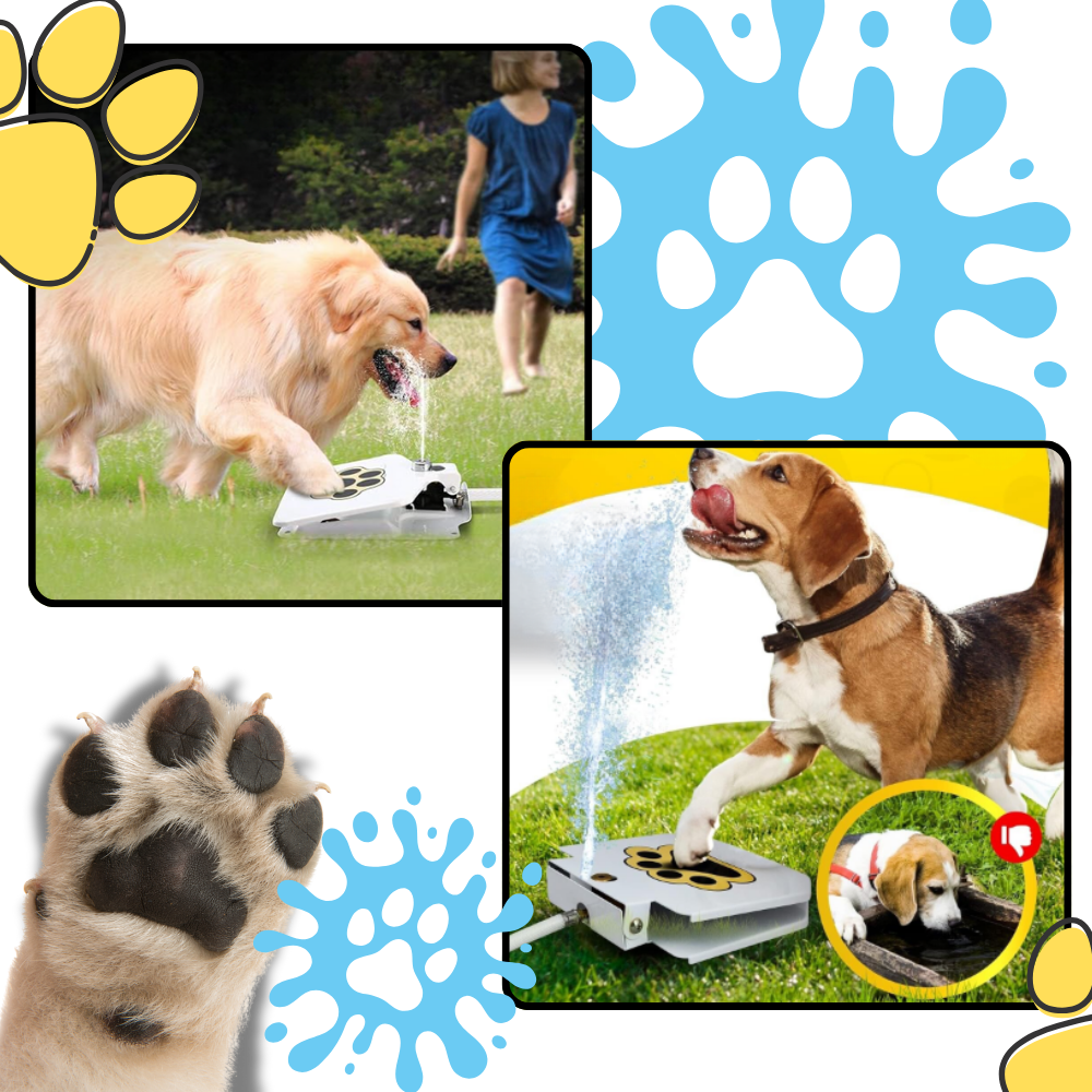 Fuente de agua para perros con activación por pisada
- Ozerty