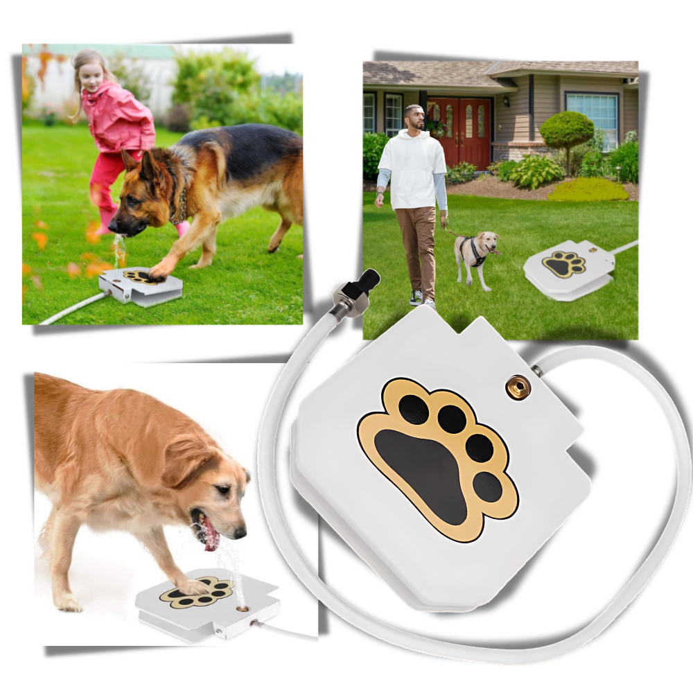 Fuente de agua para perros con activación por pisada
- Ozerty