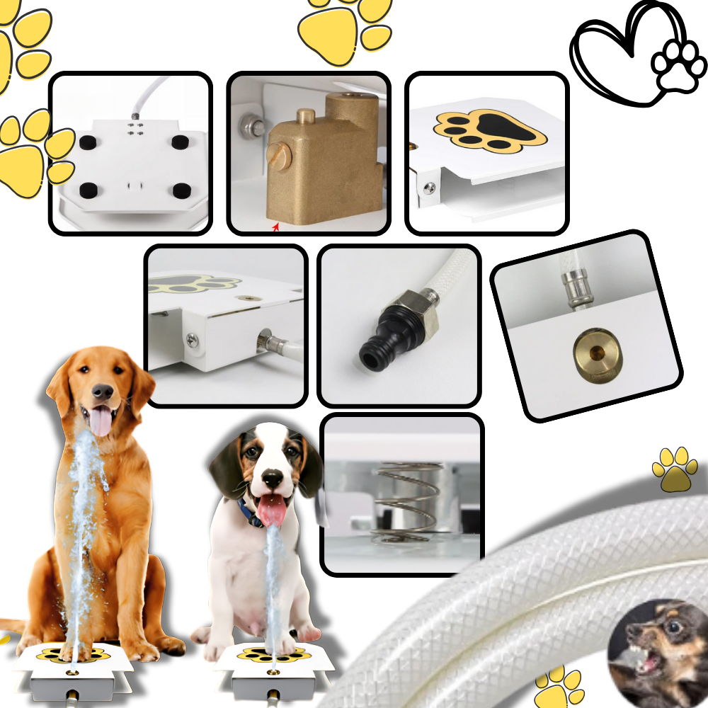 Fuente de agua para perros con activación por pisada
- Ozerty