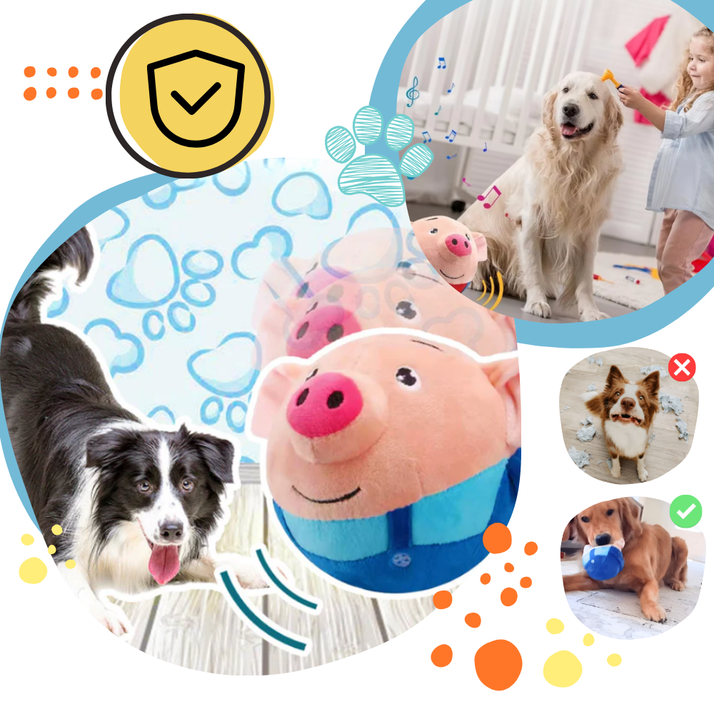 Pelota de juguete automática - Ozerty