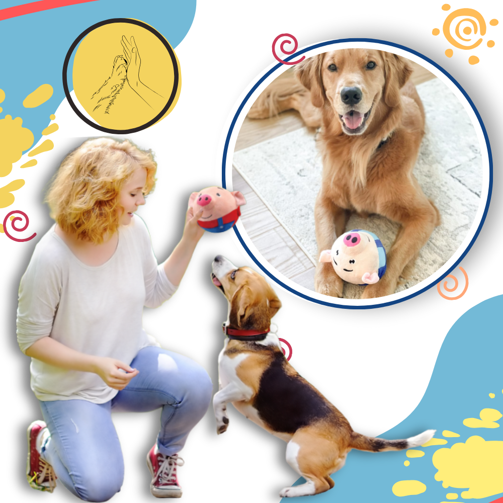 Pelota de juguete automática - Ozerty