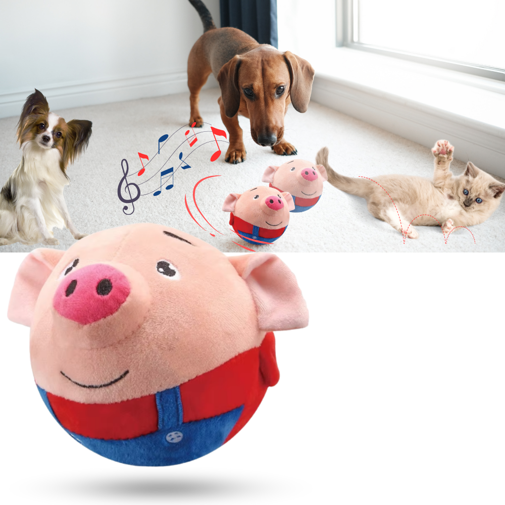 Pelota de juguete automática - Ozerty