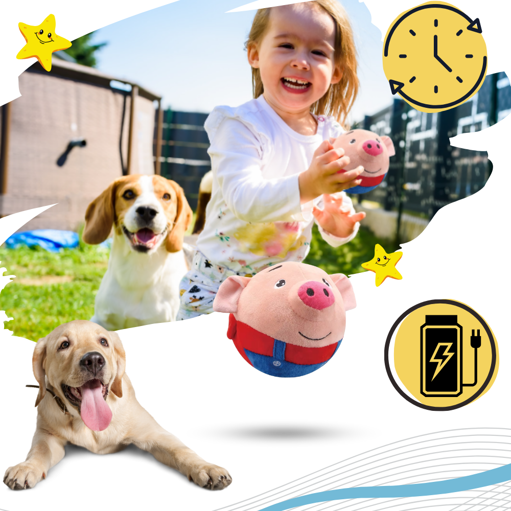 Pelota de juguete automática - Ozerty