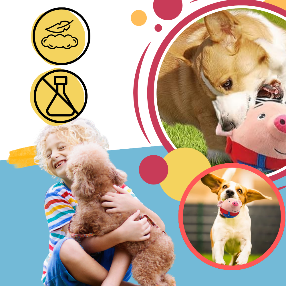 Pelota de juguete automática - Ozerty