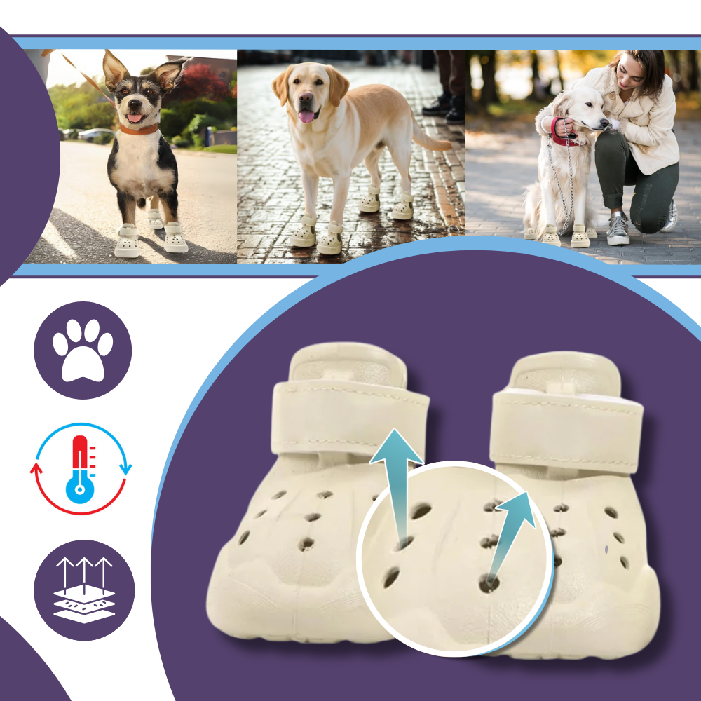 Botas protectoras para perros - Ozerty