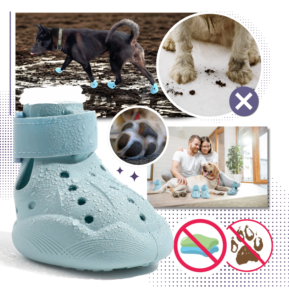 Botas protectoras para perros - Ozerty