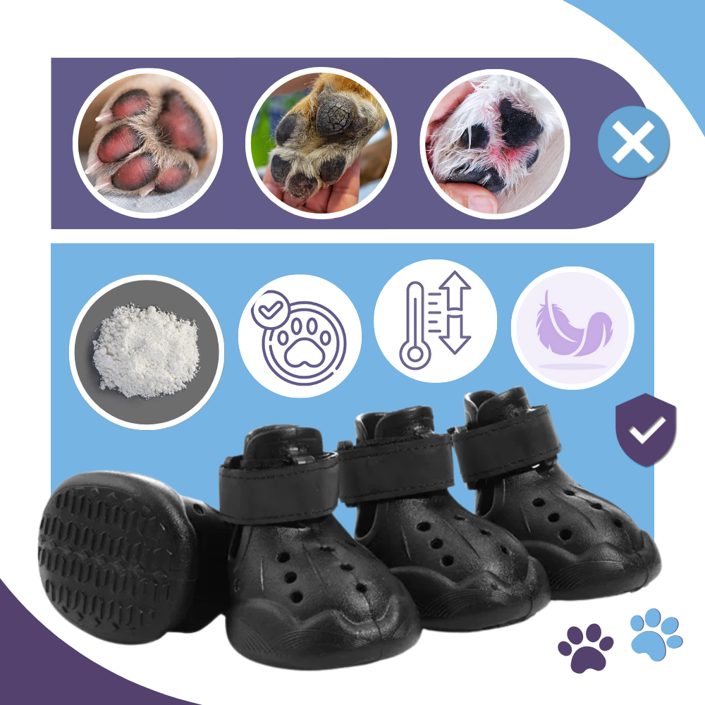 Botas protectoras para perros - Ozerty