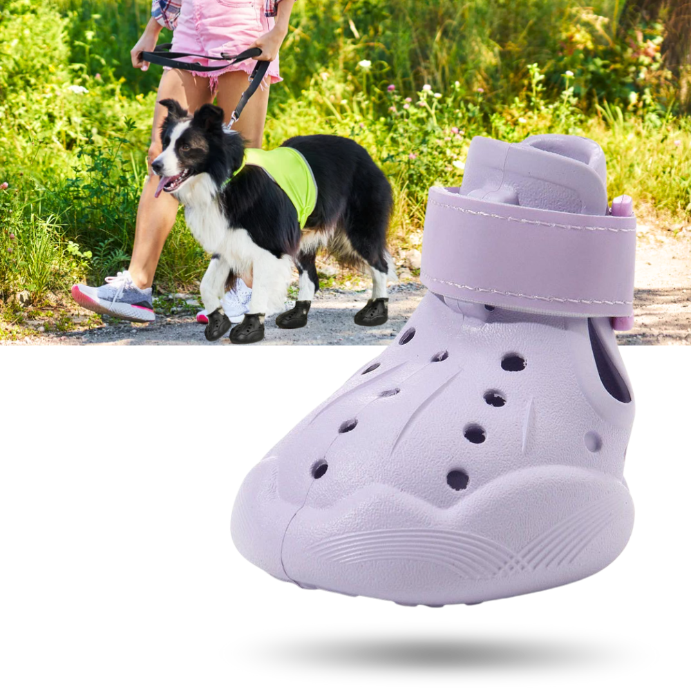 Botas protectoras para perros - Ozerty
