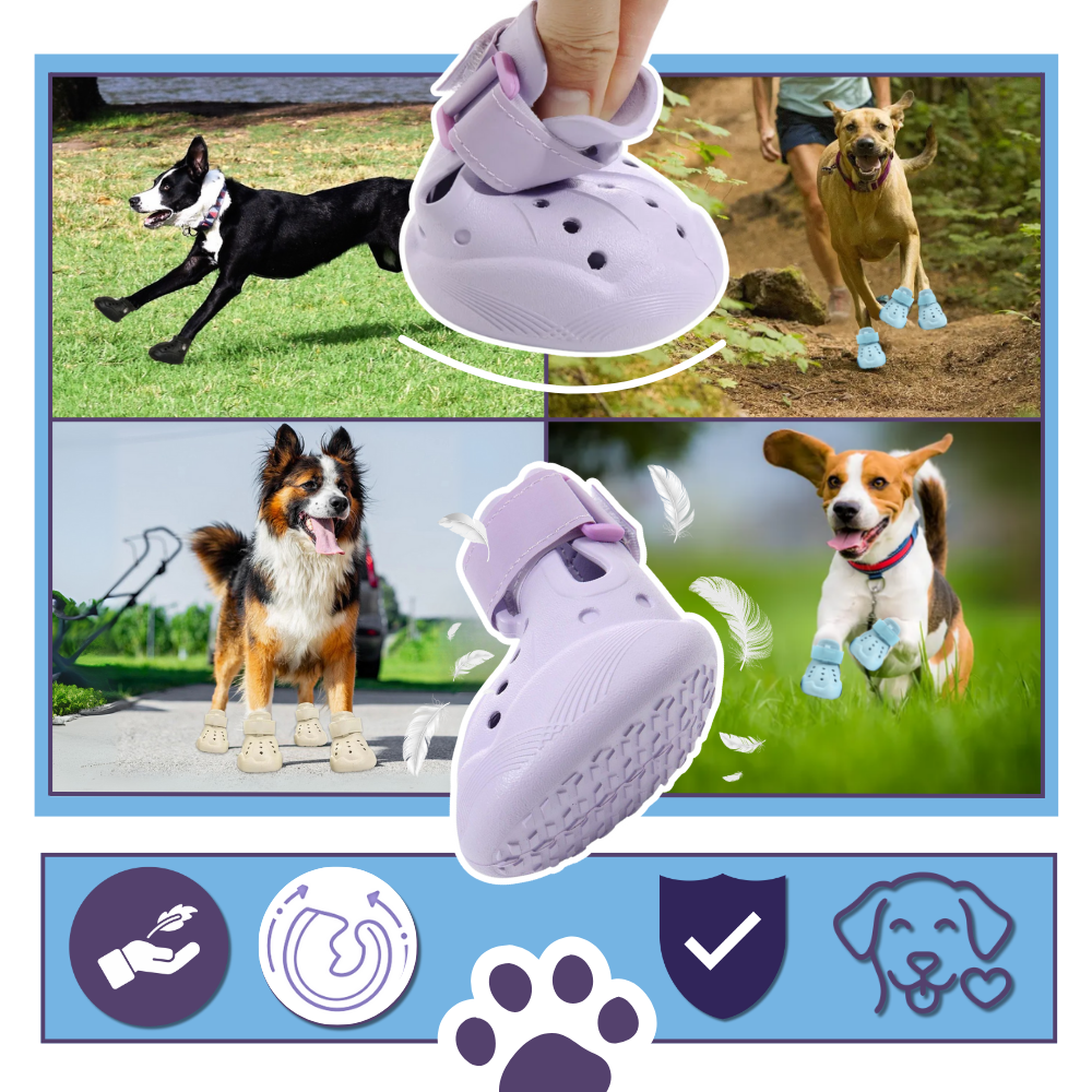 Botas protectoras para perros - Ozerty