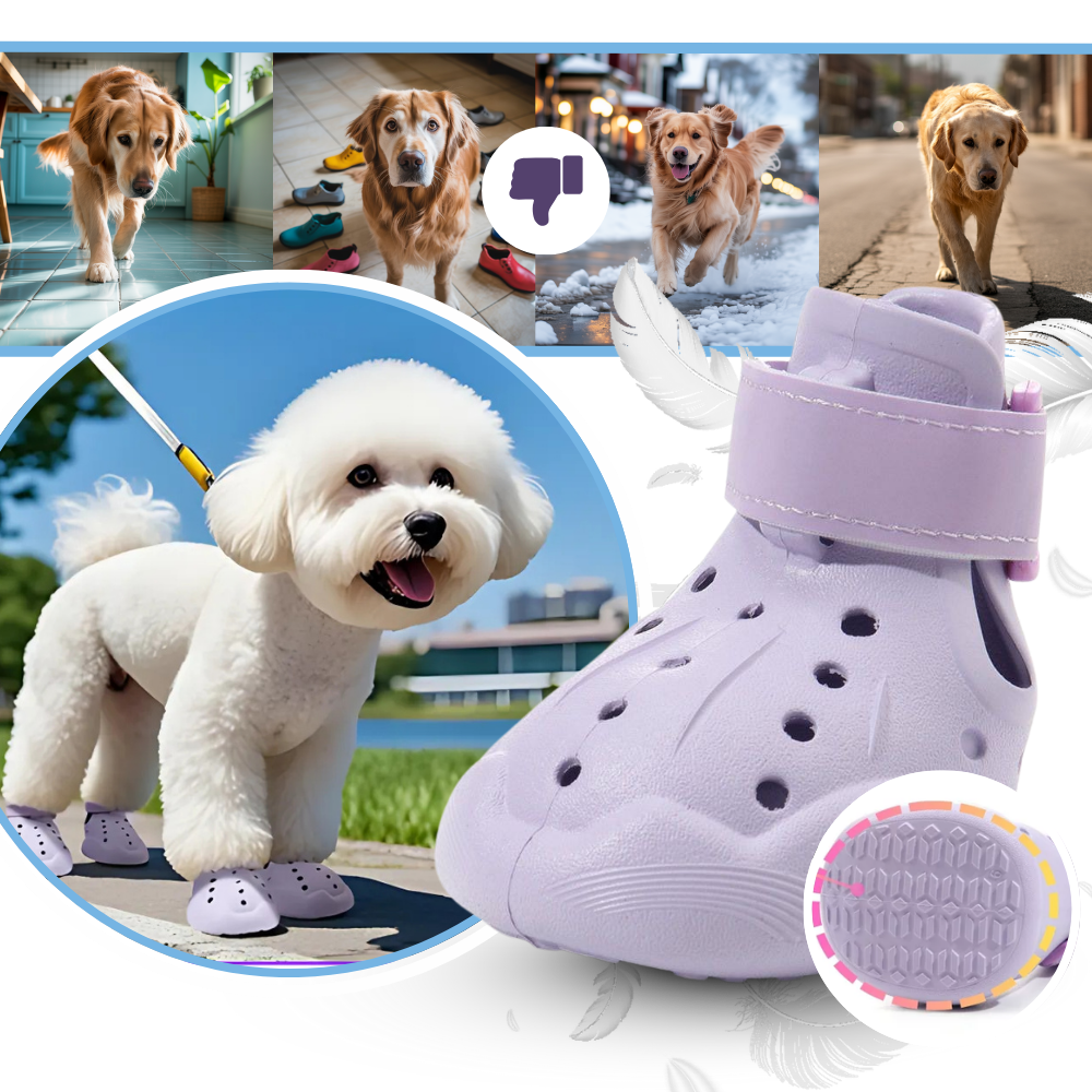 Botas protectoras para perros - Ozerty