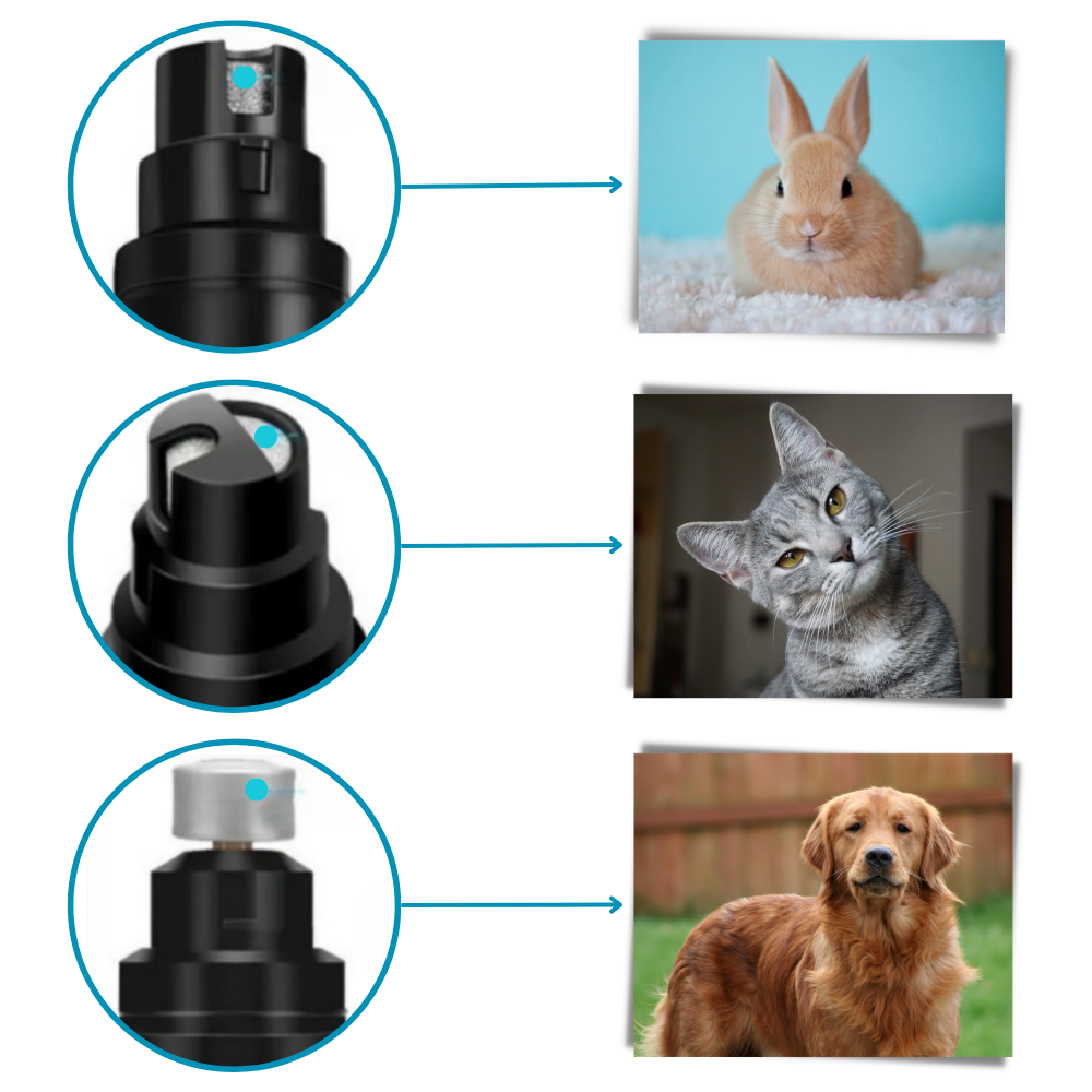 Cortaúñas automático para mascotas
- Ozerty